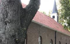 HET PRINS CLAUS CONSERVATORIUM PRESENTEERT