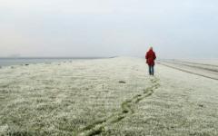 RENDEZ-VOUS IM KAFFEEHAUS