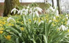 Mini Matth&auml;us Passion