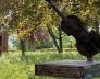 Amsterdams Windquintet